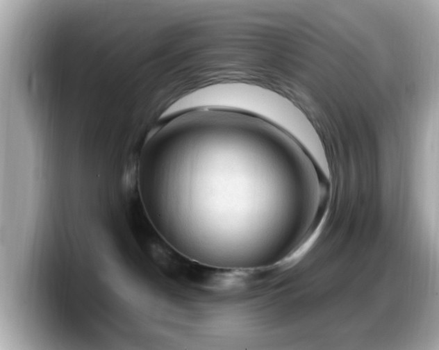 X0000099980190200805231432