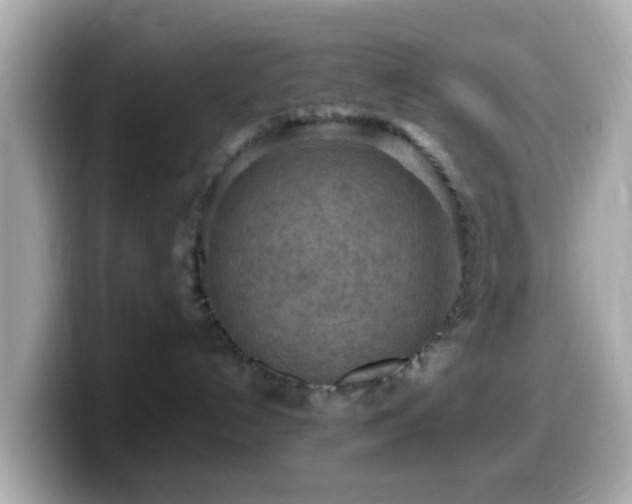 X0000099980192200805231432
