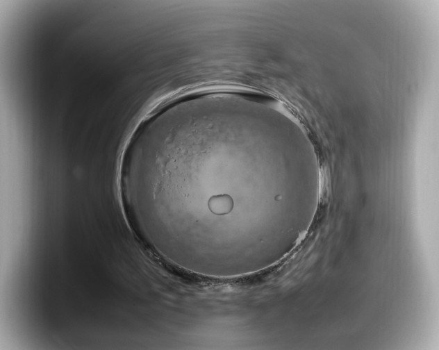 X0000099980195200805231431