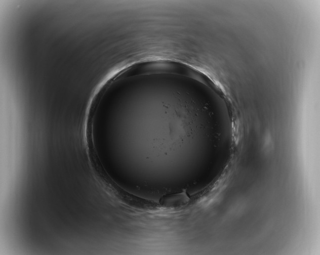 X0000099980196200805231431