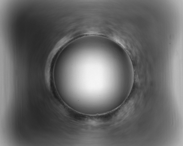 X0000099980199200805231431