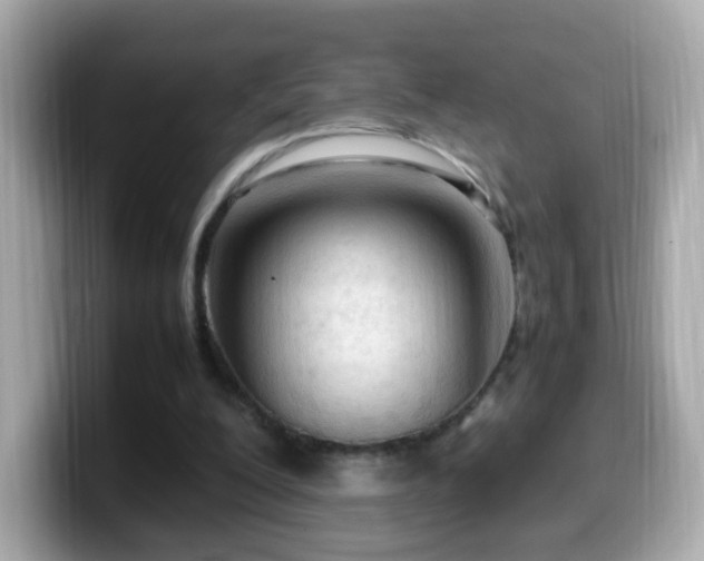 X0000099980200200805231431