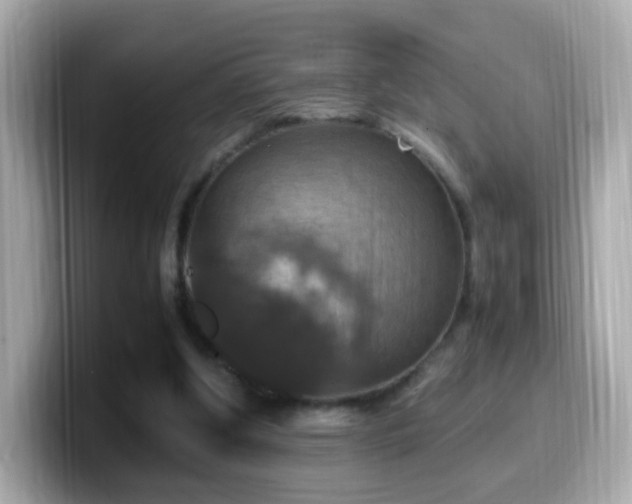 X0000099980202200805231431