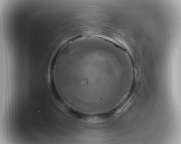 X0000099980203200805231431