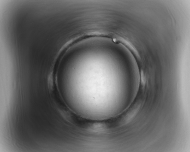 X0000099980204200805231431