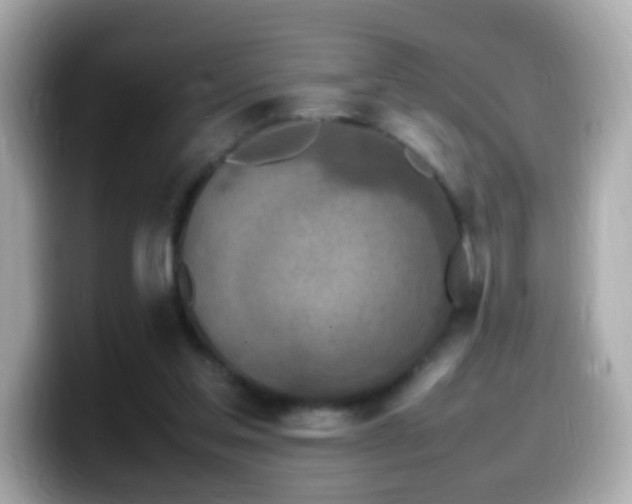 X0000099980205200805231431