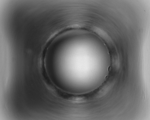 X0000099980208200805231431