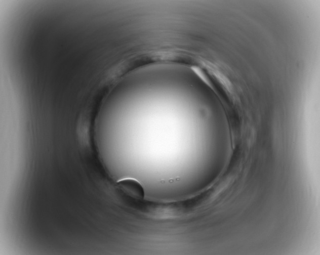 X0000099980209200805231431