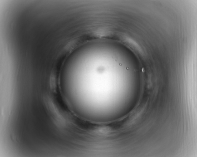 X0000099980210200805231431