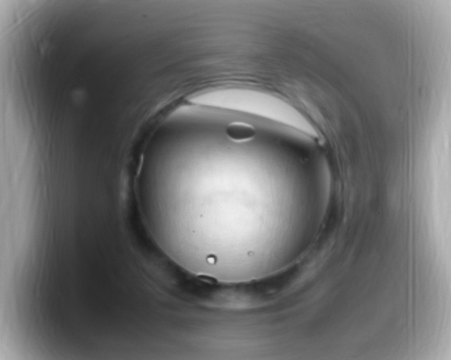 X0000099980211200805231431