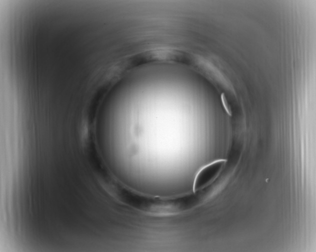 X0000099980213200805231431