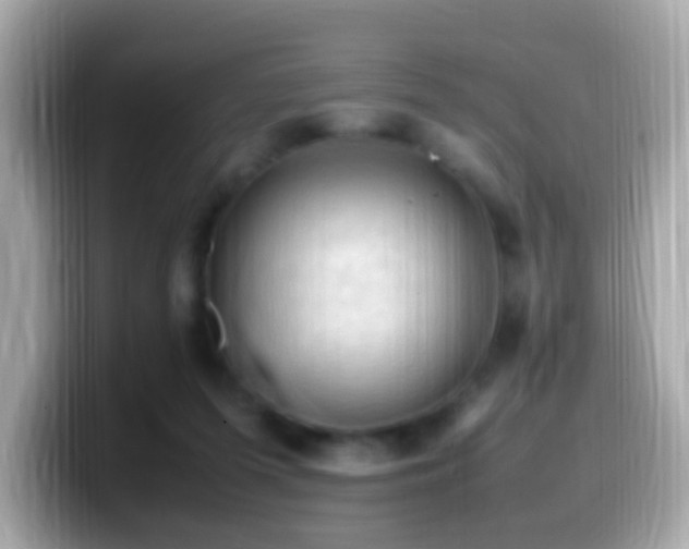 X0000099980215200805231431