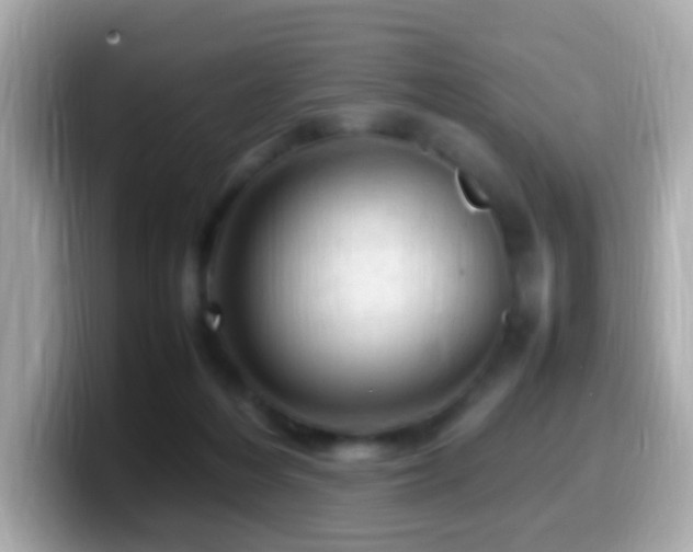 X0000099980216200805231431