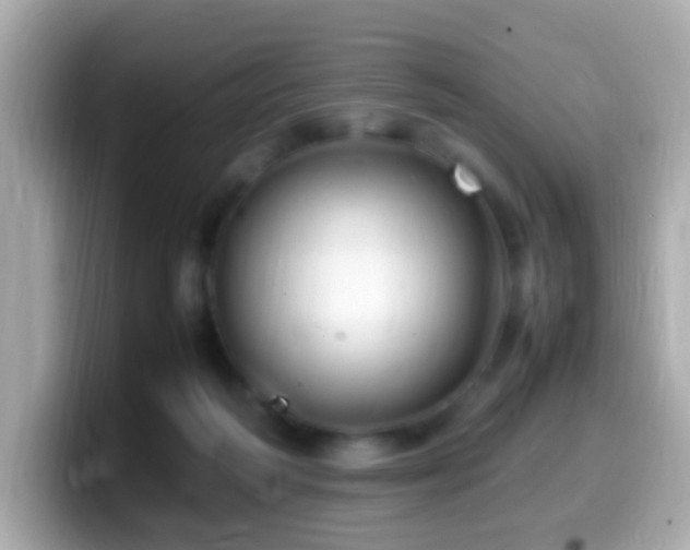 X0000099980218200805231431
