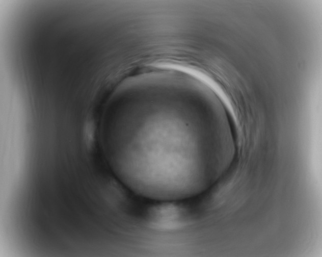X0000099980219200805231431