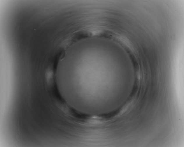 X0000099980222200805231431