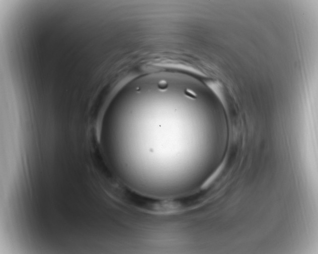 X0000099980225200805231431