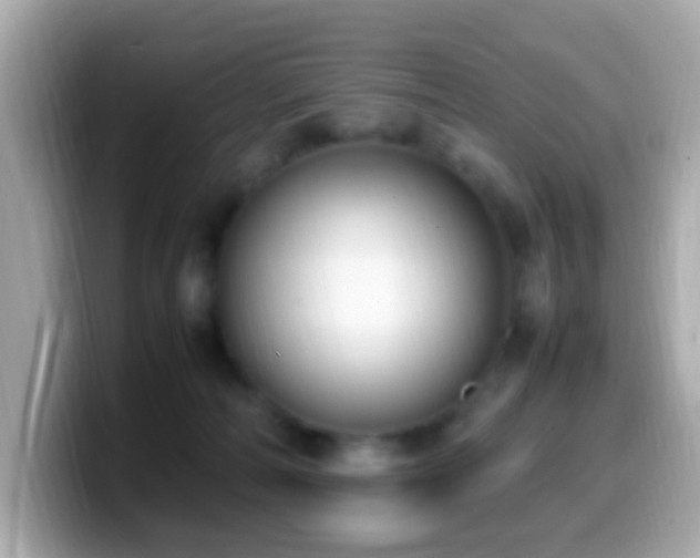 X0000099980226200805231431