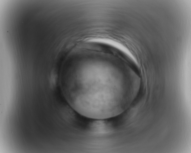 X0000099980227200805231431