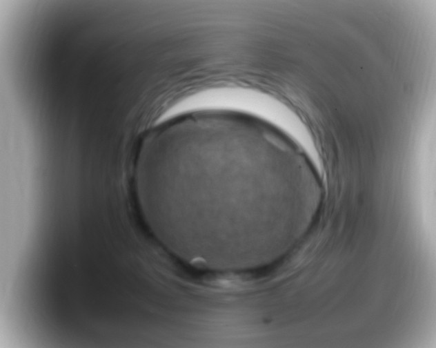 X0000099980229200805231431