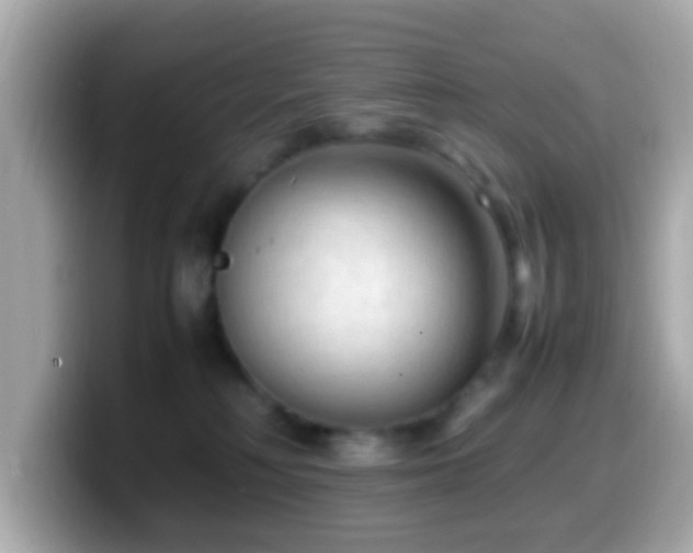X0000099980230200805231431