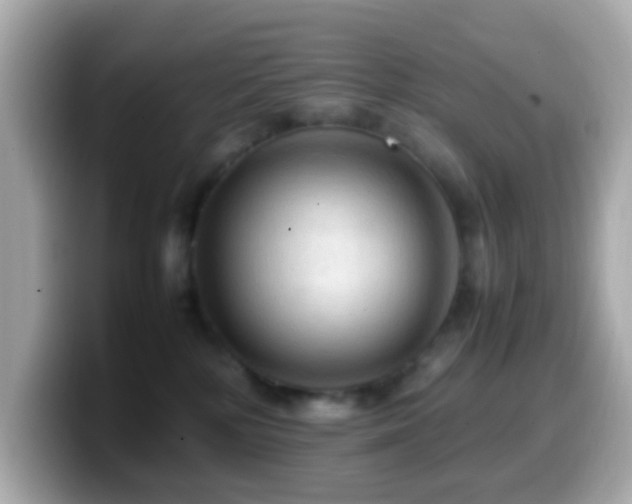 X0000099980232200805231431