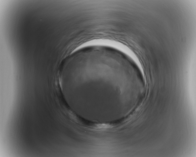 X0000099980233200805231431