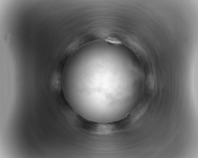 X0000099980234200805231431