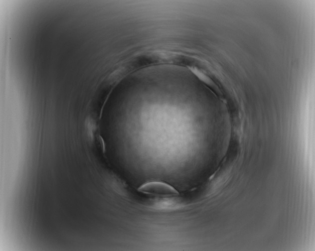 X0000099980235200805231431