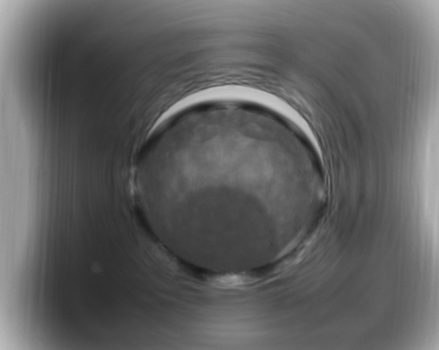 X0000099980237200805231431