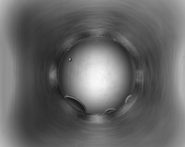 X0000099980238200805231431