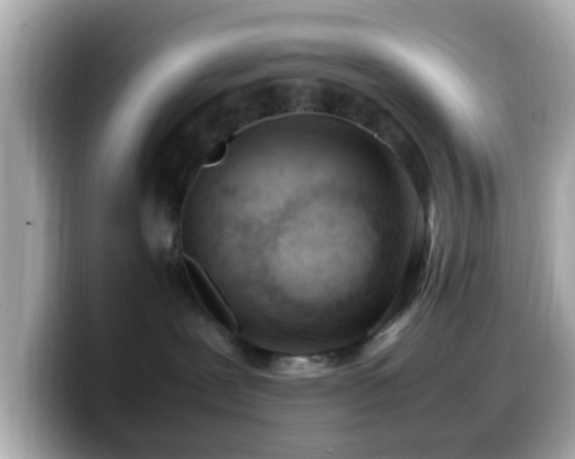 X0000099980239200805231431