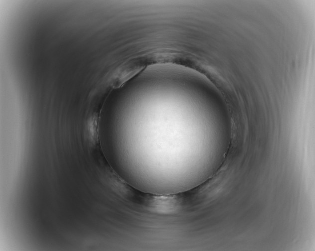 X0000099980240200805231431