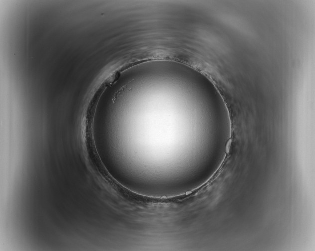X0000099980242200805231430