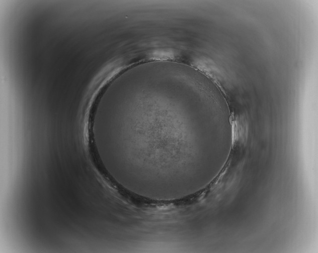 X0000099980243200805231430
