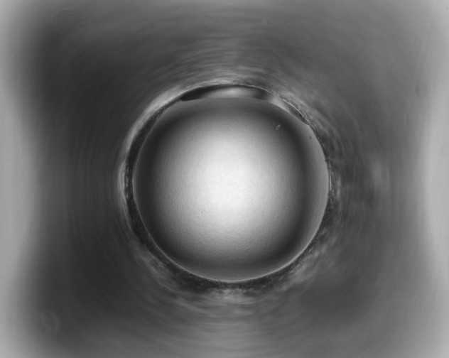 X0000099980244200805231430