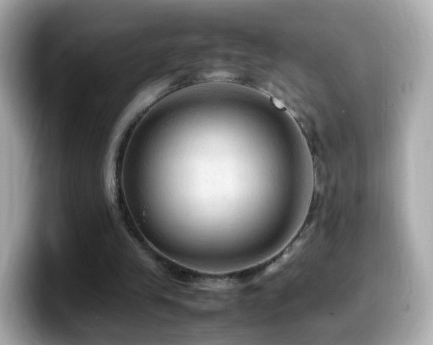X0000099980245200805231430