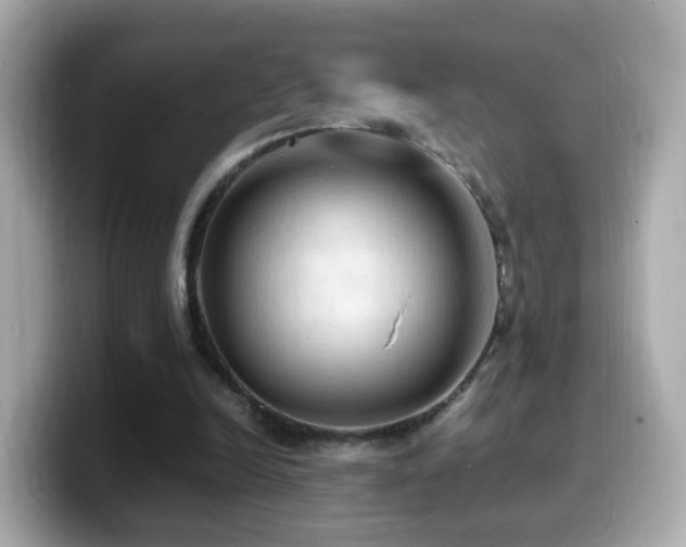 X0000099980246200805231430