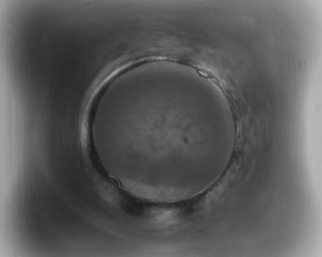 X0000099980247200805231430