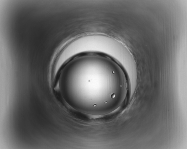X0000099980248200805231430