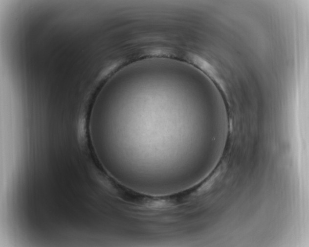 X0000099980249200805231430