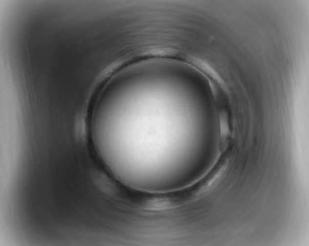 X0000099980252200805231430