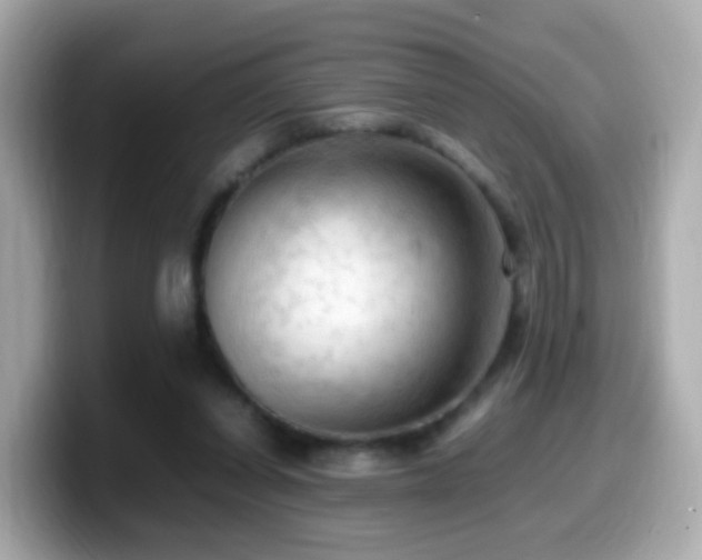 X0000099980254200805231430