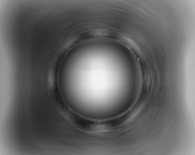 X0000099980255200805231430
