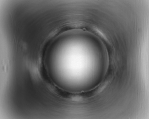 X0000099980258200805231430
