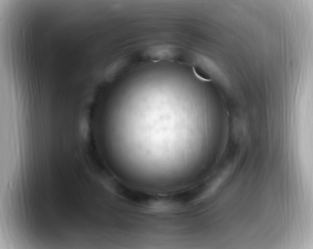 X0000099980259200805231430