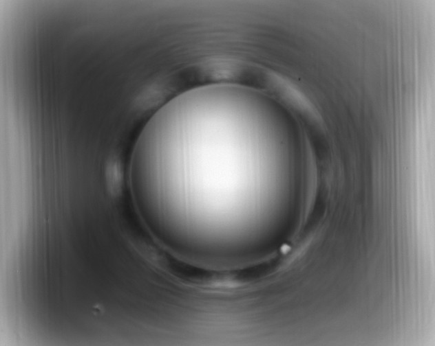 X0000099980262200805231430