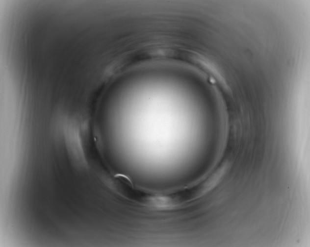 X0000099980265200805231430