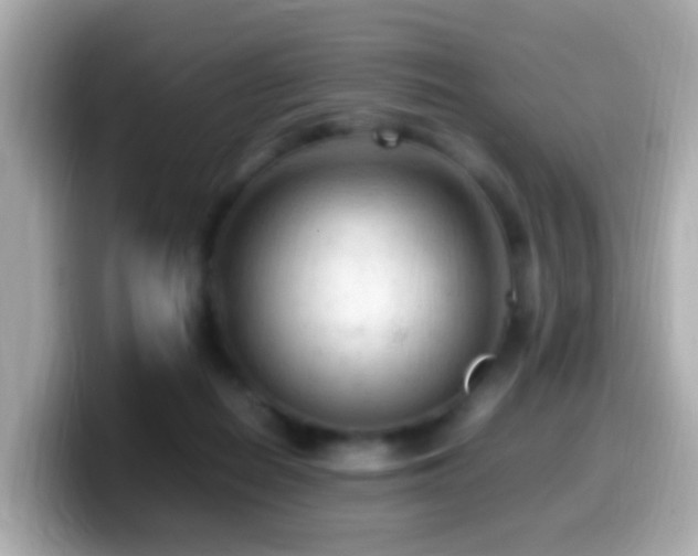 X0000099980266200805231430