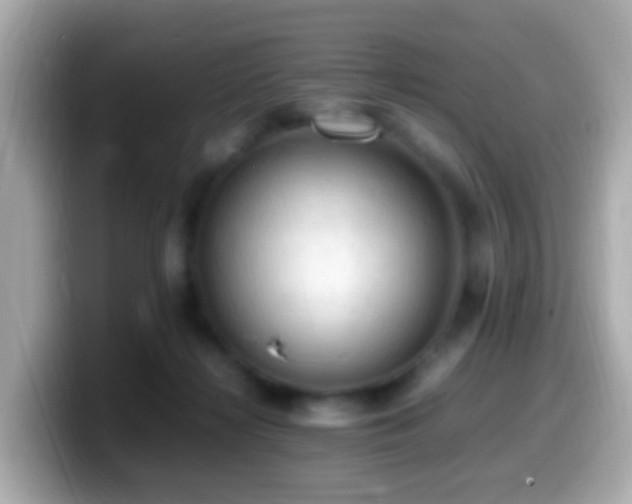 X0000099980268200805231430